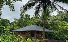 Madre Selva Eco Lodge